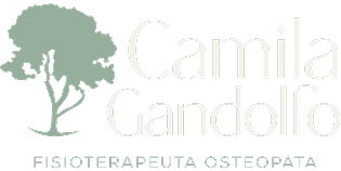 Logo da Dra Camila
